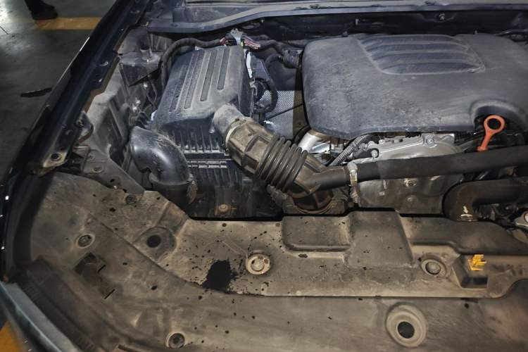 Used Haval H5 2023 2.0T Automatic All-Wheel Drive LinkedIn Gasoline Engine Bay Right