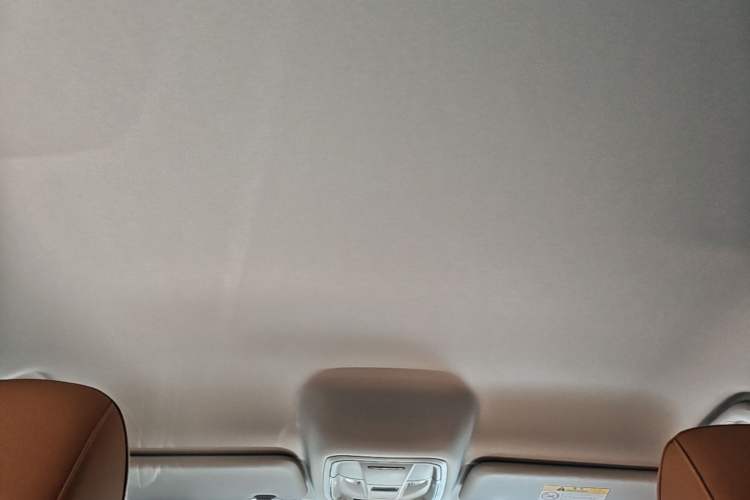 Used Haval H5 2023 2.0T Automatic All-Wheel Drive LinkedIn Gasoline Headliner