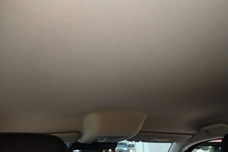 Used Haval H5 2023 2.0T Automatic Two-Wheel Drive LinkedIn Gasoline Headliner
