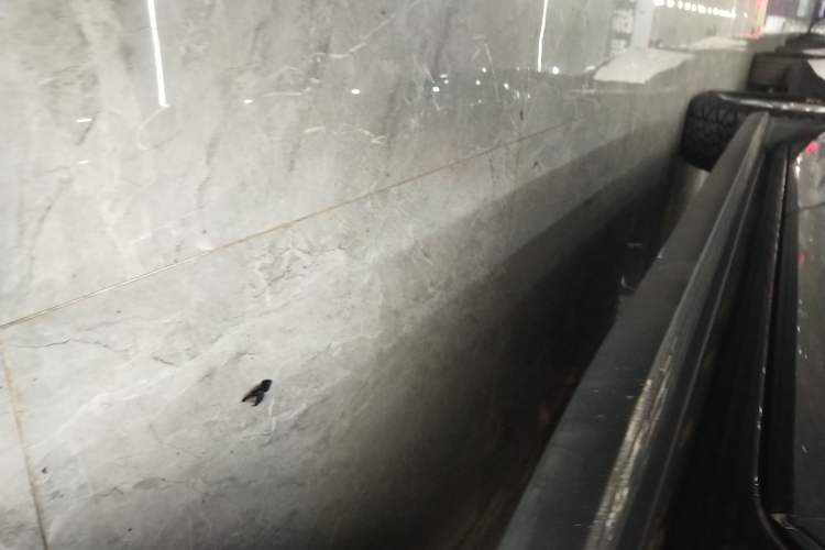 Used Haval H5 2023 2.0T Automatic 4x4 Innovation Edition – Diesel Left Side Sill