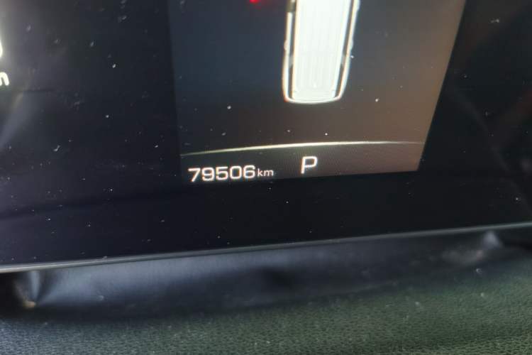 Used Haval H5 2023 2.0T Automatic Two-Wheel Drive Leading Edition Gasoline Odometer Close Up