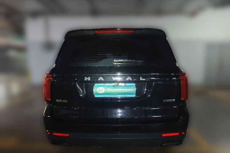 Used Haval H5 2023 2.0T Automatic All-Wheel Drive LinkedIn Gasoline Rear
