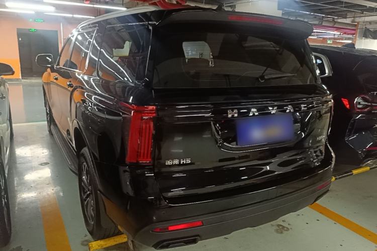 Used Haval H5 2023 2.0T Automatic All-Wheel Drive LinkedIn Gasoline Rear Left 45 Deg