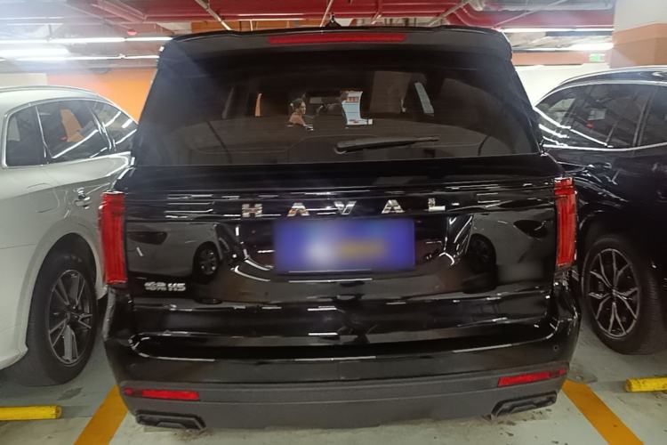 Used Haval H5 2023 2.0T Automatic All-Wheel Drive LinkedIn Gasoline Rear