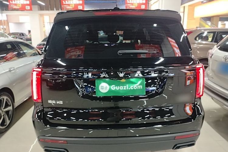 Used Haval H5 2023 2.0T Automatic Two-Wheel Drive LinkedIn Gasoline Rear