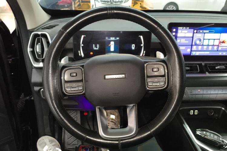 Used Haval H5 2023 2.0T Automatic Two-Wheel Drive LinkedIn Gasoline Steering Wheel