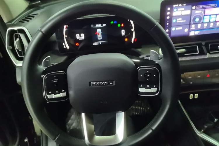 Used Haval H5 2023 2.0T Automatic Two-Wheel Drive LinkedIn Gasoline Steering Wheel