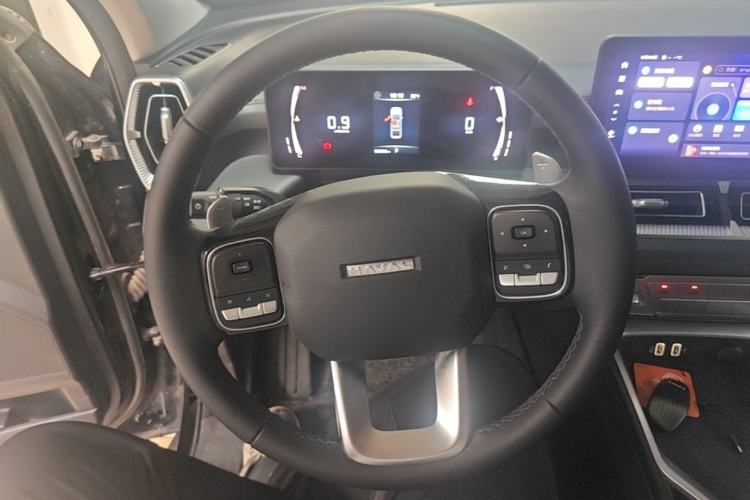 Used Haval H5 2023 2.0T Automatic Two-Wheel Drive LinkedIn Gasoline Steering Wheel
