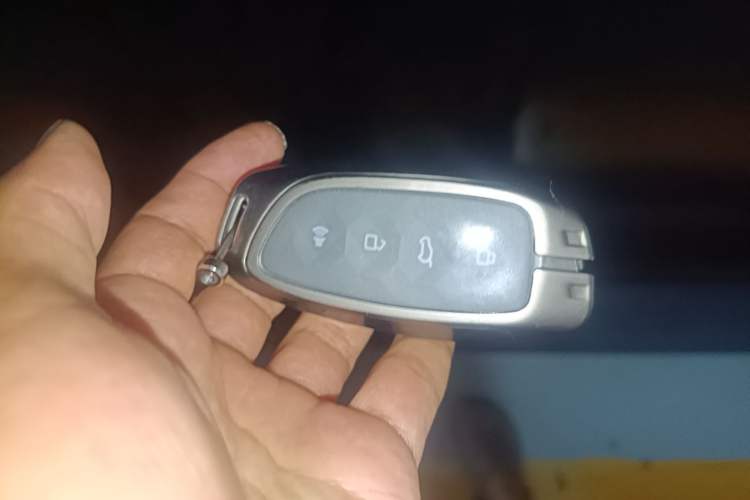 Used Haval H5 2023 2.0T Automatic All-Wheel Drive LinkedIn Gasoline Vehicle Key