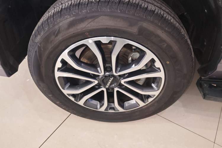 Used Haval H5 2023 2.0T Automatic All-Wheel Drive LinkedIn Gasoline Exterior 7