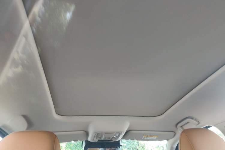 Used Haval H5 2023 2.0T Automatic All-Wheel Drive LinkedIn Gasoline Headliner