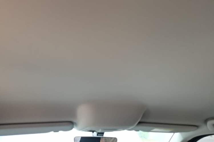 Used Haval H5 2023 2.0T Automatic Two-Wheel Drive Leading Edition Gasoline Headliner