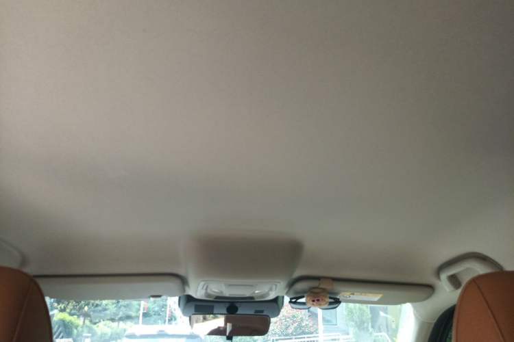 Used Haval H5 2023 2.0T Automatic All-Wheel Drive LinkedIn Gasoline Headliner