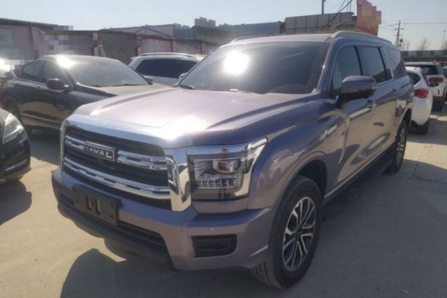 Used Haval H5 2023 2.0T Automatic Two-Wheel Drive LinkedIn Gasoline