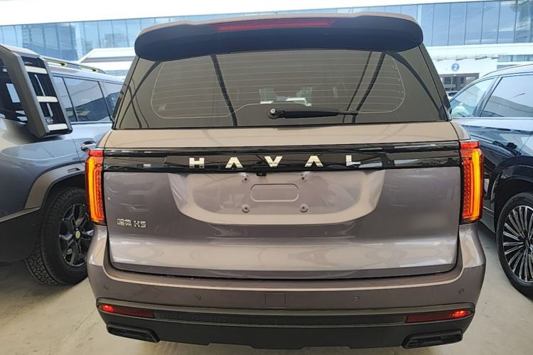 Used Haval H5 2023 2.0T Automatic All-Wheel Drive LinkedIn Gasoline Rear