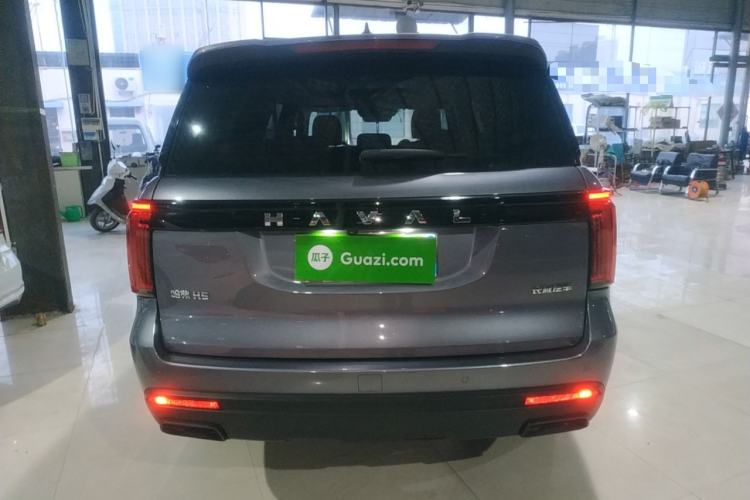 Used Haval H5 2023 2.0T Automatic Two-Wheel Drive LinkedIn Gasoline Rear