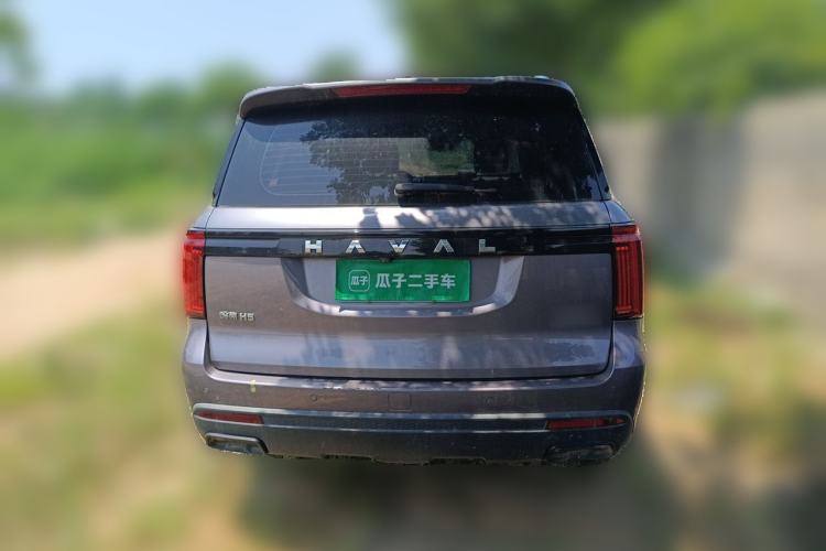 Used Haval H5 2023 2.0T Automatic All-Wheel Drive LinkedIn Gasoline Rear