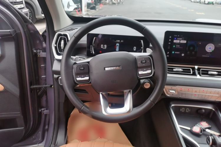 Used Haval H5 2023 2.0T Automatic All-Wheel Drive LinkedIn Gasoline Steering Wheel