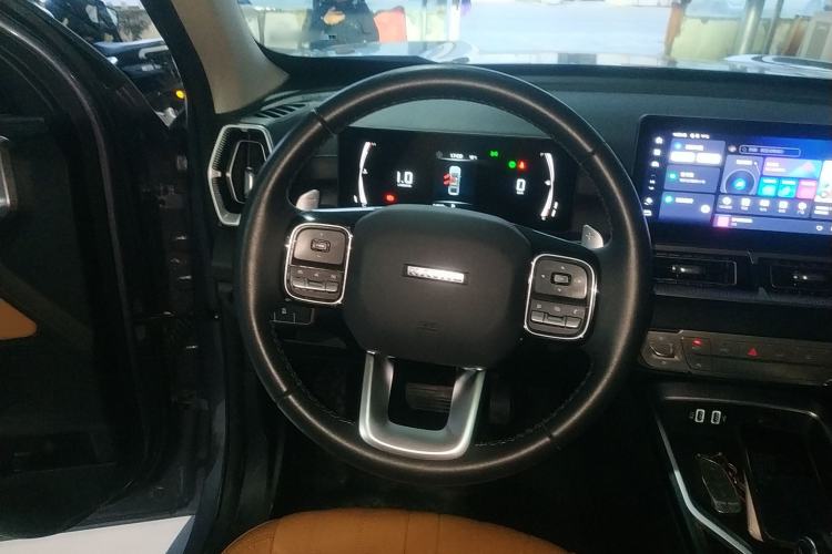 Used Haval H5 2023 2.0T Automatic Two-Wheel Drive LinkedIn Gasoline Steering Wheel