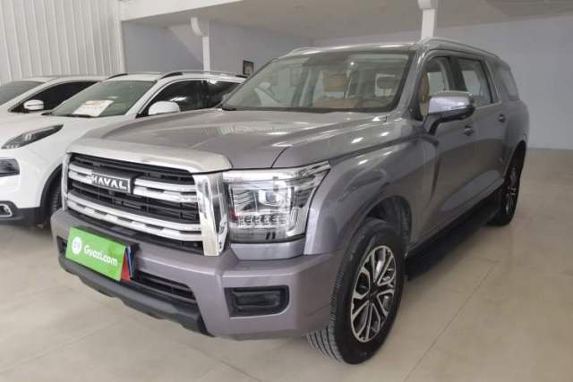 Used Haval H5 2023 2.0T Automatic Two-Wheel Drive LinkedIn Gasoline