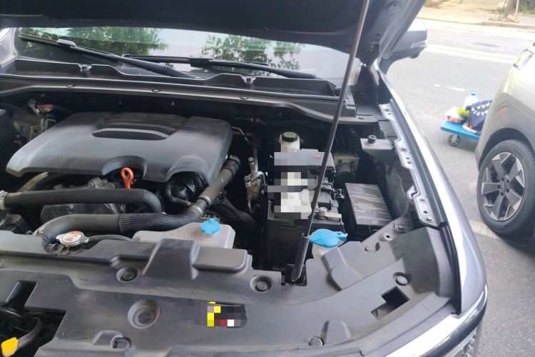 Used Haval H5 2023 2.0T Automatic Two-Wheel Drive LinkedIn Gasoline Engine Bay Left