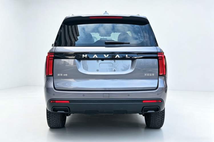 Used Haval H5 2023 2.0T Automatic All-Wheel Drive LinkedIn Gasoline Exterior 6