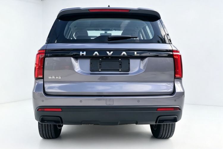 Used Haval H5 2023 2.0T Automatic All-Wheel Drive LinkedIn Gasoline Exterior 6