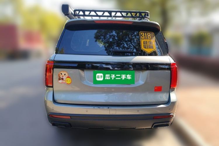 Used Haval H5 2023 2.0T Automatic Two-Wheel Drive LinkedIn Gasoline Rear