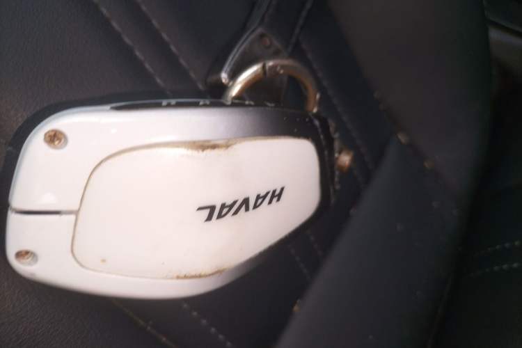 Used Haval H5 2023 2.0T Automatic Two-Wheel Drive Leading Edition Gasoline Vehicle Key