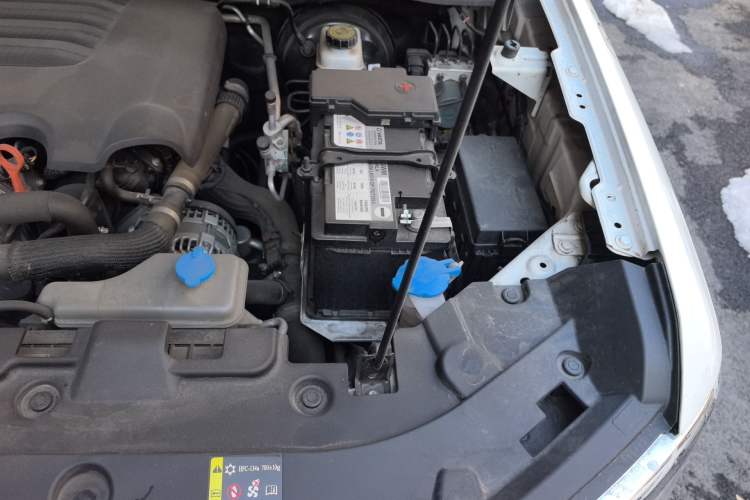 Used Haval H5 2023 2.0T Automatic All-Wheel Drive LinkedIn Gasoline Engine Bay Left