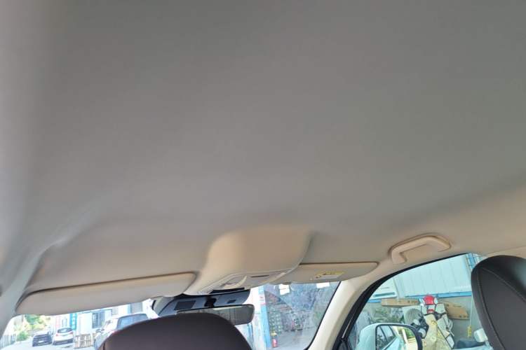 Used Haval H5 2023 2.0T Automatic All-Wheel Drive LinkedIn Gasoline Headliner