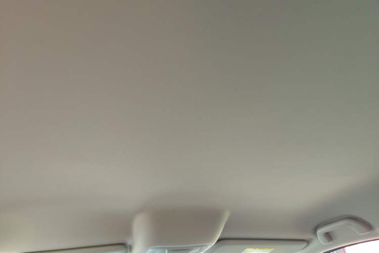 Used Haval H5 2023 2.0T Automatic All-Wheel Drive LinkedIn Gasoline Headliner