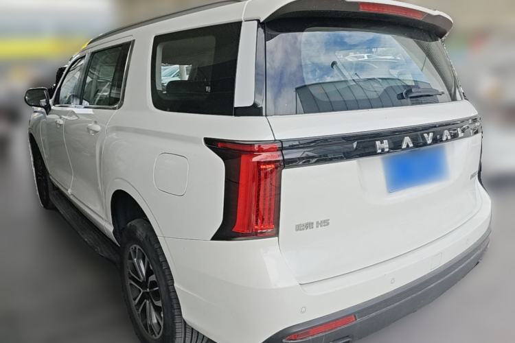 Used Haval H5 2023 2.0T Automatic All-Wheel Drive LinkedIn Gasoline Rear Left 45 Deg