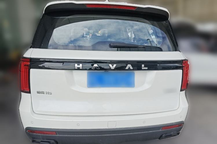 Used Haval H5 2023 2.0T Automatic All-Wheel Drive LinkedIn Gasoline Rear