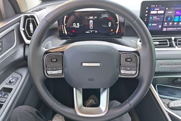 Used Haval H5 2023 2.0T Automatic All-Wheel Drive LinkedIn Gasoline Steering Wheel