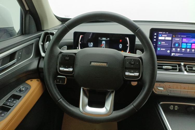 Used Haval H5 2023 2.0T Automatic Two-Wheel Drive LinkedIn Gasoline Steering Wheel