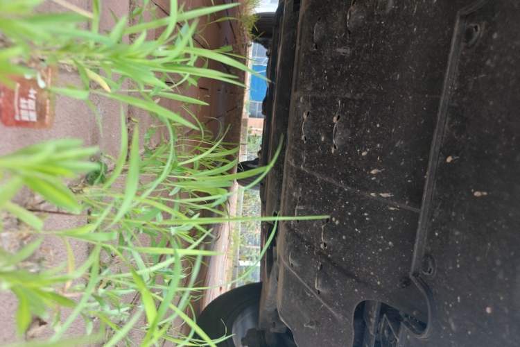 Used Haval H5 2024 2.0T Automatic All-Wheel Drive Flagship Gasoline Chassis Front