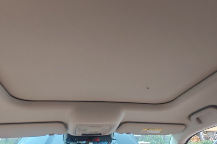 Used Haval H5 2024 2.0T Automatic All-Wheel Drive Flagship Gasoline Headliner