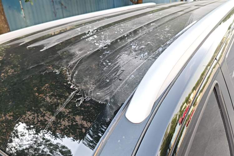 Used Haval H5 2024 2.0T Automatic All-Wheel Drive Flagship Gasoline Roof