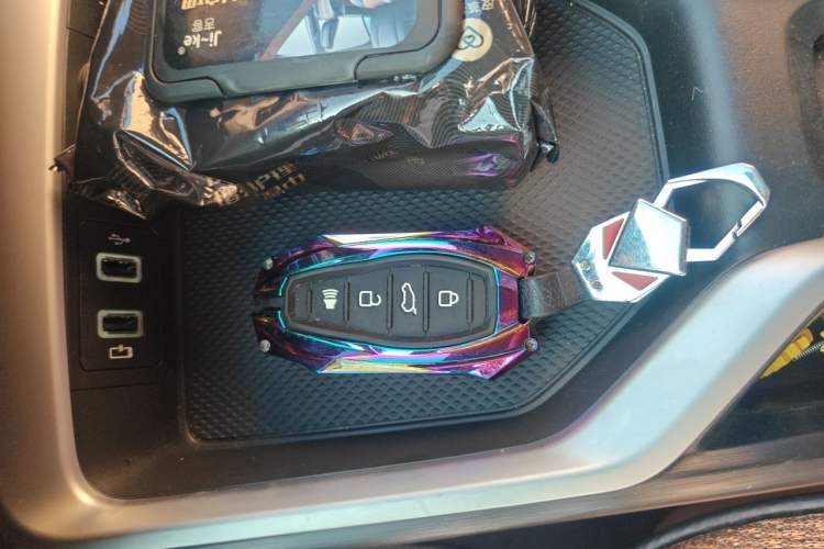 Used Haval H5 2024 2.0T Automatic All-Wheel Drive Flagship Gasoline Vehicle Key
