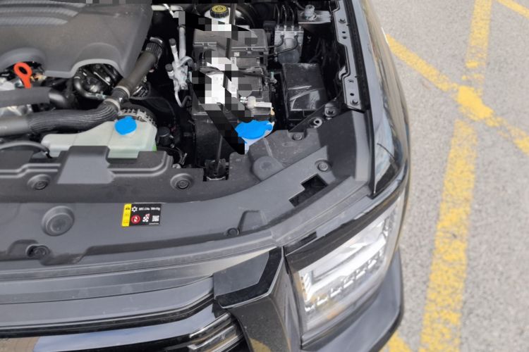 Used Haval H5 2025 2.0T Automatic All-Wheel Drive Navigation Version – Gasoline Engine Bay Left