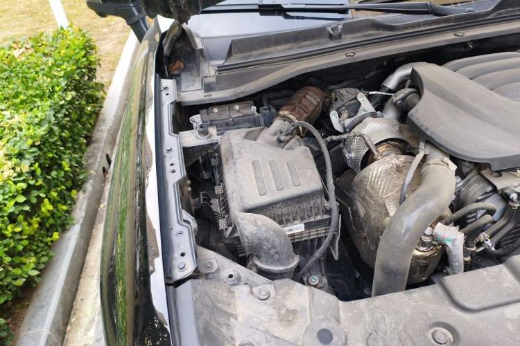 Used Haval H5 2025 2.0T Automatic All-Wheel Drive LinkedIn Edition Diesel Engine Bay Right