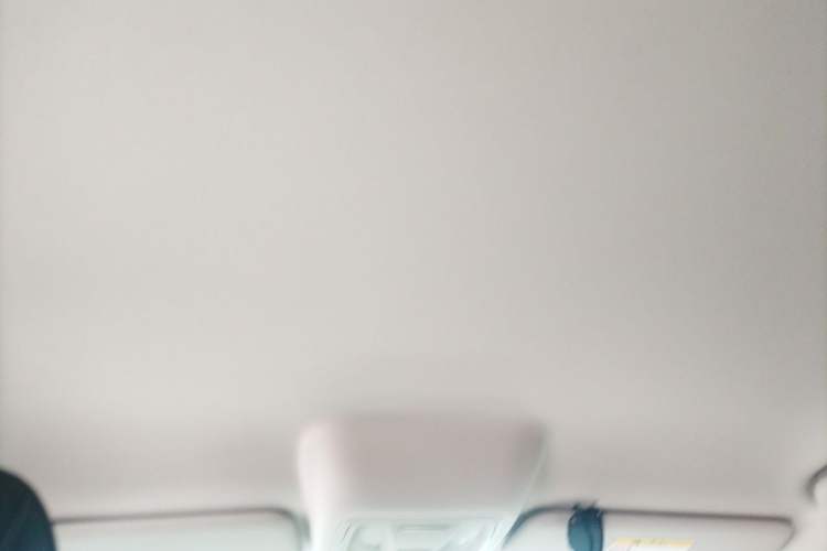 Used Haval H5 2025 2.0T Automatic All-Wheel Drive Navigation Version – Gasoline Headliner