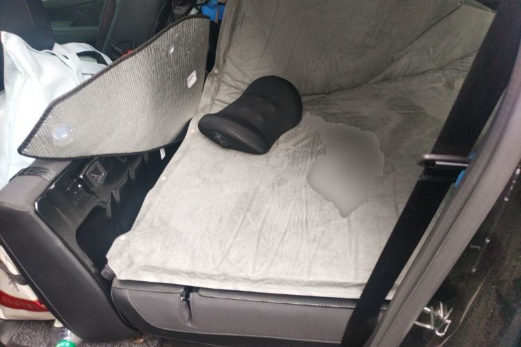 Used Haval H5 2025 2.0T Automatic All-Wheel Drive Navigation Version – Gasoline Left Rear Seat