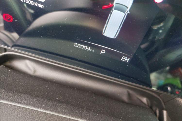 Used Haval H5 2025 2.0T Automatic All-Wheel Drive Navigation Version – Gasoline Odometer Close Up