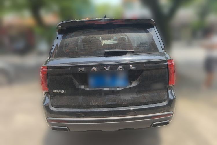 Used Haval H5 2025 2.0T Automatic All-Wheel Drive LinkedIn Edition Gasoline Rear