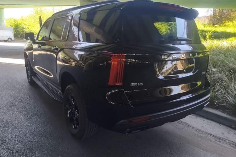 Used Haval H5 2025 2.0T Automatic All-Wheel Drive Navigation Version Diesel Rear Left 45 Deg