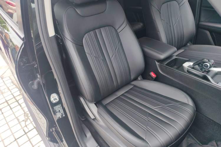 Used Haval H5 2025 2.0T Automatic All-Wheel Drive Navigation Version – Gasoline Right Front Seat