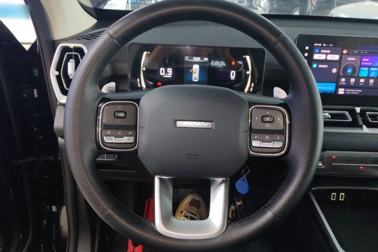 Used Haval H5 2025 2.0T Automatic All-Wheel Drive Flagship Edition Gasoline Steering Wheel