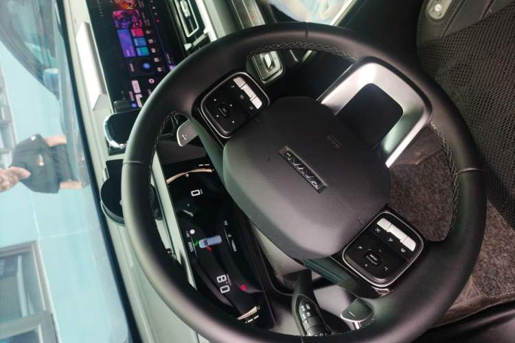 Used Haval H5 2025 2.0T Automatic All-Wheel Drive Navigation Version – Gasoline Steering Wheel